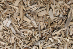 biomass boilers Skipwith